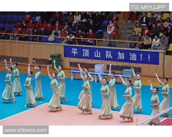 聚焦排球：探索杭州排球队在速度与技巧上的完美结合与发展之路